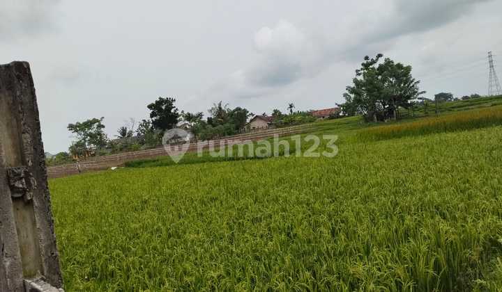 Dijual Tanah Lokasi Serang Cikande Dijual Tanah Lokasi Serang Cikande