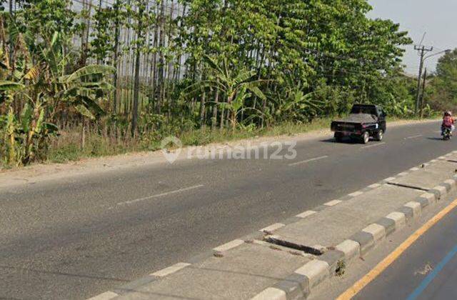 Dijual Lahan Tanah Stategis Di Pantura Karawang Timur 4