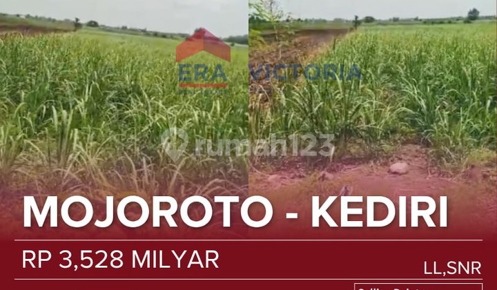 Tanah Luas Area Mojoroto Kediri Dekat Kolam Mancing Tirto Wilis, Agent Travel, Toko Bangunan Cocok Untuk Dibangun Tempat Tinggal Atau Berkebun