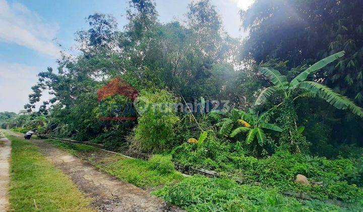 Tanah Jual Dekat Sekolah Favorit Sdit Al-misbahakses Jalan Raya Mudah Dekat Stasiun Sumobito Jombang, Puskesmas, Pasar Tradisional  2