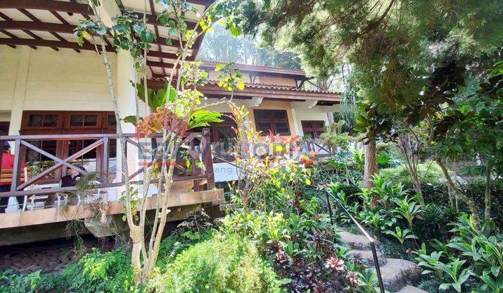 Dijual Villa Besar Dan Terawat, Hawa Sejuk Pegunungan, 1-2 Menit Ke Wisata Paralayang, Museum Angkut, Jatim Park 1, The Onsen Songgoriti Kota Batu 2