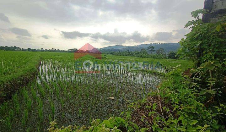 DIJUAL Tanah Krajan Sumber Ngepoh, akses mudah, udara sejuk, lokasi dekat perbukitan, sistem irigasi Bagus, sawah produktif
 2