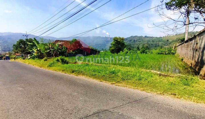 DIJUAL Tanah Dorowati Timur, dekat pasar lawang, lokasi poros jalan, dekat wisata air krabyakan, cocok untuk lahan pertanian atau usaha lain 2