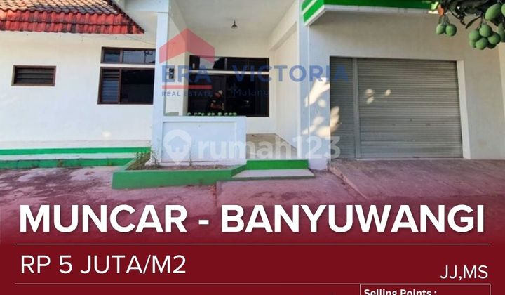 Dijual Rumah Pinggir Jalan Raya Muncar. Dekat Beberapa Kantor Bank, Koramil, Minimarket, Berbagai Usaha Dan Kuliner. Cocok Untuk Tempat Tinggal Maupun Usaha