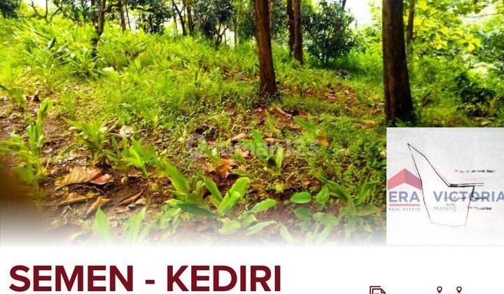 Tanah Dijual Di Desa Selopanggung Kec. Semen Kab. Kediriada Tanaman Pohon Jati Siap Panen Dekat Kantor Desa, Sekolah Dasar 1