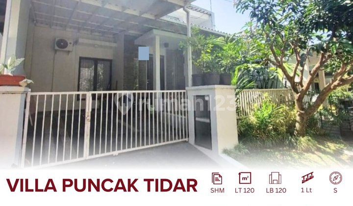 Rumah Jual Full Granite Dalam Perumahan Elit Tidar Suasana Sejuk dan Nyaman Akses Mudah Pusat Kota Dekat Kampus Ma Chung, Charis, Elpico Security 24 Jam Incld 2 Ac, Kitchen Set, Water Heater Rumah Jual Full Granite Dalam Perumahan Elit Tidar Suasana Sejuk dan Nyaman Akses Mudah Pusat Kota Dekat Kampus Ma Chung, Charis, Elpico Security 24 Jam Incld 2 Ac, Kitchen Set, Water Heater
