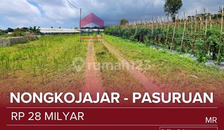 Large Land for Sale Near Nongkojajar Market, Pananjakan Bromo, Nongkojajar-Jabung Route, Suitable for Teaching Farm, Plantation, Livestock. Located at 1058 Meters Above Sea Level. Cool Mountain Air. Large Land for Sale Near Nongkojajar Market, Pananjakan Bromo, Nongkojajar-Jabung Route, Suitable for Teaching Farm, Plantation, Livestock. Located at 1058 Meters Above Sea Level. Cool Mountain Air.