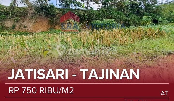 Tanah Jual Dekat Gudang Amunisi, Pondok Pesantren Sirojan Muniro As-salam, Pasar Tajinan, Taman Edukasi D'embung Park, Kantor Kepala Desa Purwosekar Cocok Untuk Dibangun Rumah, Kantor, Kebun Tanah Jual Dekat Gudang Amunisi, Pondok Pesantren Sirojan Muniro As-salam, Pasar Tajinan, Taman Edukasi D'embung Park, Kantor Kepala Desa Purwosekar Cocok Untuk Dibangun Rumah, Kantor, Kebun