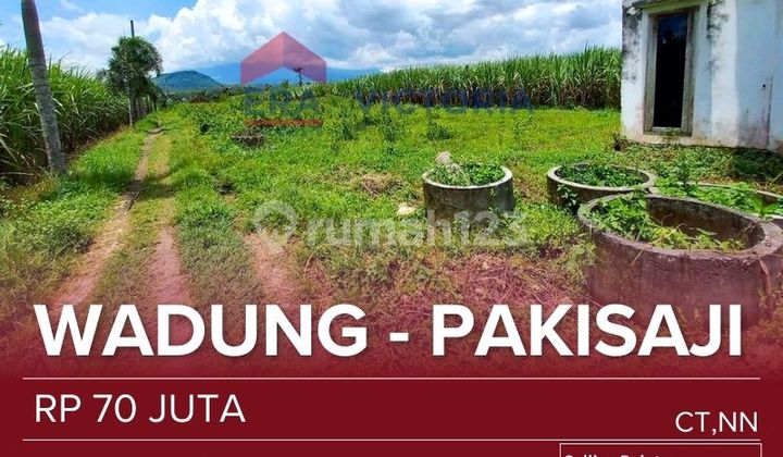 P Kavling Jual Area Pakisaji Lokasi Strategis Pinggir Jalan Fasilitas Air dan Listrik Sudah tersedia Dekat Saran Pendidikan, Kesehatan, Samsat P Kavling Jual Area Pakisaji Lokasi Strategis Pinggir Jalan Fasilitas Air dan Listrik Sudah tersedia Dekat Saran Pendidikan, Kesehatan, Samsat