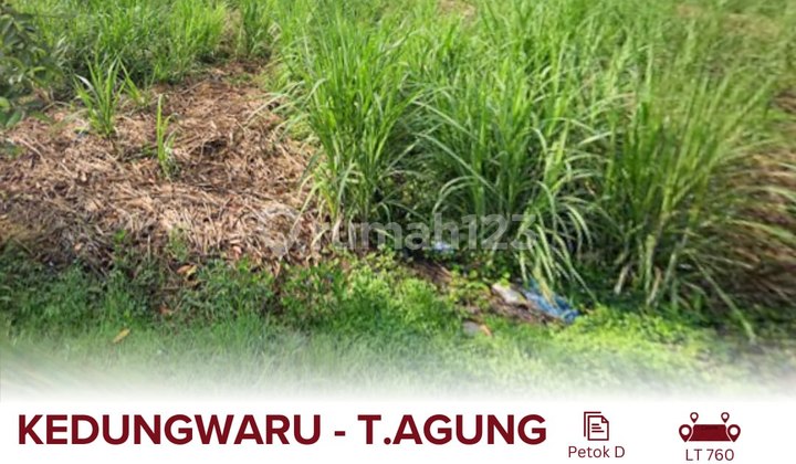 Dijual Tanah di Kedungwaru Tulungagung 5 Menit Dari Rsud Dr Iskak, Taman Hutan Kota & Stadion Rejoagung 7 Menit Dari Gor Majanm Dijual Tanah di Kedungwaru Tulungagung 5 Menit Dari Rsud Dr Iskak, Taman Hutan Kota & Stadion Rejoagung 7 Menit Dari Gor Majanm