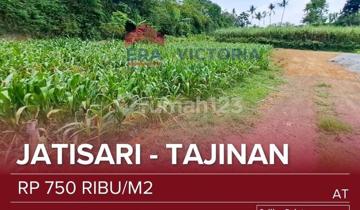 Tanah Dekat Gudang Amunisi, Pondok Pesantren Sirojan Muniro As-salam, Pasar Tajinan, Taman Edukasi, D'embung Park, Kantor Kepala Desa Purwosekar Tanah Dekat Gudang Amunisi, Pondok Pesantren Sirojan Muniro As-salam, Pasar Tajinan, Taman Edukasi, D'embung Park, Kantor Kepala Desa Purwosekar