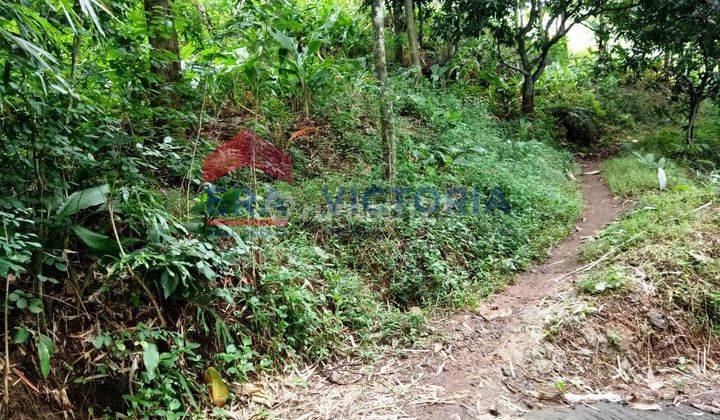 Rumah Dijual Di Jalan Kediri - Warujayeng, Rumah Diapit 2 Tokoarea Ramai, Ada 4 Kamar Tidur 2