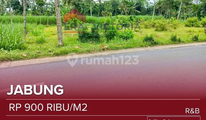 Tanah Jual Area Jabung Lokasi Bagus Luas Akses Mudah Cocok untuk Investasi, Dibangun Rumah Cluster Tanah Jual Area Jabung Lokasi Bagus Luas Akses Mudah Cocok untuk Investasi, Dibangun Rumah Cluster