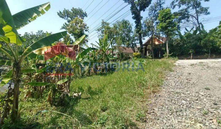 DIJUAL Tanah Lokasi Strategis O Poros Jalan, Dekat Makam Cina (Sentong), Wisata Kebun Teh Wonosari, 3 menit Ke pasar Lawang, 3 Menit Ke Jalan Utama Provinsi Surabaya-Malang  2