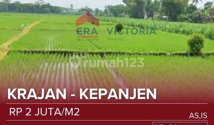 Tanah Sawah Luas Lokasi Non Jalan Kawasan Perkantoran Dan Kuliner Dekat Zonsipur, Universitas Kepanjen, Rsud Kanjuruhan, Kantor Bupati 