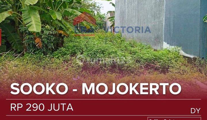 Tanah Lokasi Depan Rumah Sakit Sakinah Sebelah Timur 3 Km Dekat Sman 1 Sooko Dan Man 1 Mojokerto, Timur Pintu Masuk Jalan Raya Bypass Mojokerto-surabaya Dari Alun-alun Kota Mojokerto 5 Km 1
