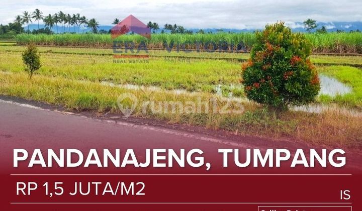 Tanah Pertanian Lokasi Tumpang Dekat Situs Candi Kidal, Pasar Pulungdowo, Tidak Jauh Dari Tugu Bambu Kidal, Puskesmas, Pasar Kidal, Pesantren, Smk Darul Fikar Cocok untuk Kebun