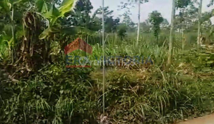 Dijual Tanah Di Pinggir Jalan Alternatif Utama Dengkol Singosari. Akses Mudah, Kawasan Industri, Jalan Lebar Bisa Simpangan, Barat Lanud Abd Saleh  1