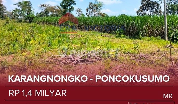 Land for Sale Near Gubuklakah Tourist Area, Semeru, Ideal for Farming, Plantation Near Wates Poncokusumo Market.