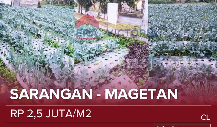 Tanah Jual Cocok Untuk Dibangun Villa Atau Resto Lokasi Di Daerah Wisata Dingin Dan Sejuk  1