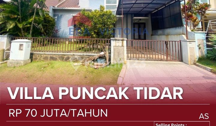 Rumah Sewa Dalam Perumahan Elit Kawasan Tidar Suasana Tenang Dan Nyaman Strategis Dekat Kampus Ma Chung, Kuliner Elpico, Kuliner Tidar  1