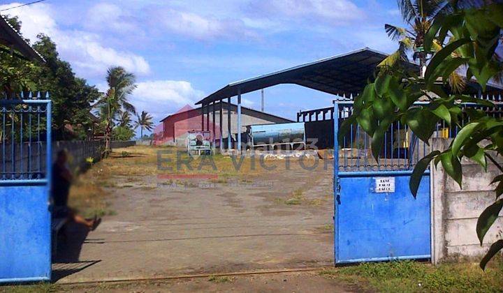 Dijual Gudang Lahan Luas Kawasan Pelabuhan Ikan Di Pengambengan. Cocok Untuk Gudang Penyimpanan Maupun Pabrik 2