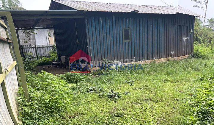 Dijual Tanah + Gudang + Kandang Ayam Di Trawas Mojokerto Siap Untuk 3000 Ekor Terdapat Pagar Besi, Tandon, Dan Tempat Makan Ayam Dan Minum Ayam Sudah Tersedia 1