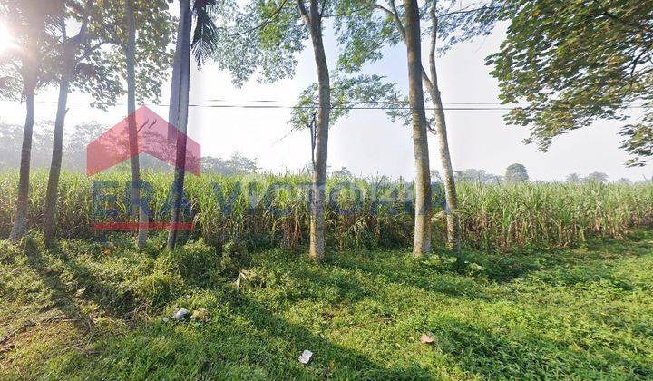 Tanah Luas Cocok Untuk Bangun Gudang Atau Pabrik Lokasi Strategis Dekat Kantor Terpadu  2