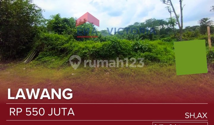 Tanah Kavling Jual Dekat Jalan Raya Gempol-Malang, View Pegunungan, Pasar, Kebun Teh Cocok untuk Dibangun Hunian, Investasi Tanah Kavling Jual Dekat Jalan Raya Gempol-Malang, View Pegunungan, Pasar, Kebun Teh Cocok untuk Dibangun Hunian, Investasi