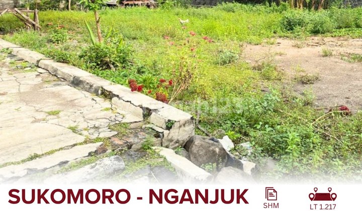 Land for Sale on Sukomoro National Road, Nganjuk Regency, 5 Minutes to Nganjuk City, Suitable for Minimarket, Shop, or Residence.