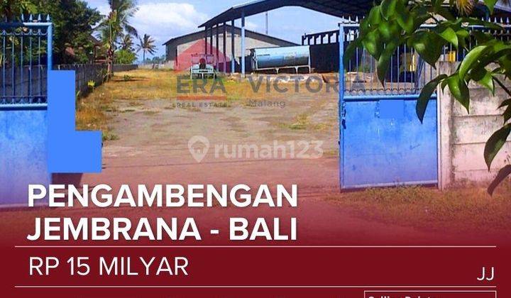 Dijual Gudang Lahan Luas Kawasan Pelabuhan Ikan Di Pengambengan. Cocok Untuk Gudang Penyimpanan Maupun Pabrik 1