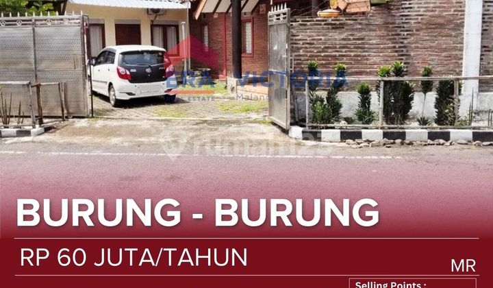Disewakan Rumah Area Sukun - Dekat Rs Soepraoen dan Alun-Alun Kota Malang 1
