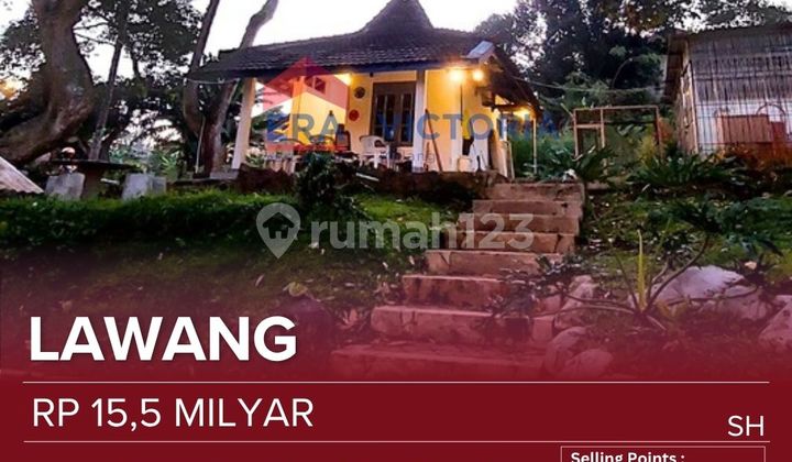Luxury Villa + Expansive Productive Garden in Lawang - A Rare Investment!