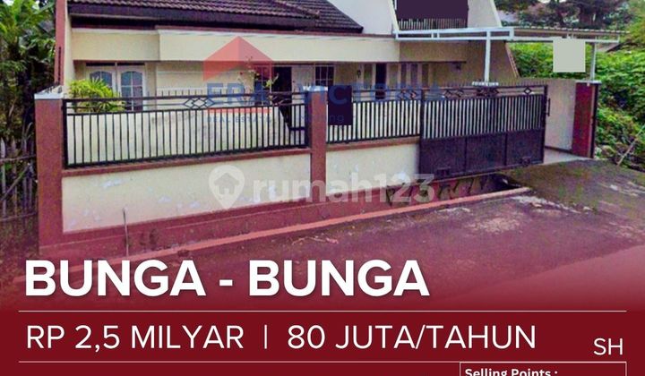 Rumah Kondisi Istimewa Kawasan Tenang Dan Nyaman Dekat Kuliner Kalpataru, Dewandaru, Suhat Cocok Untuk Kantor, Tempat Tinggal Rumah Kondisi Istimewa Kawasan Tenang Dan Nyaman Dekat Kuliner Kalpataru, Dewandaru, Suhat Cocok Untuk Kantor, Tempat Tinggal