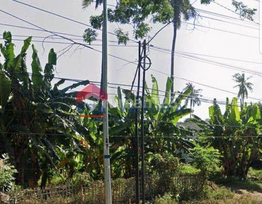 Dijual Tanah Cocok Untuk Usaha Tambak, Posisi Di Pesisir Pantai 2