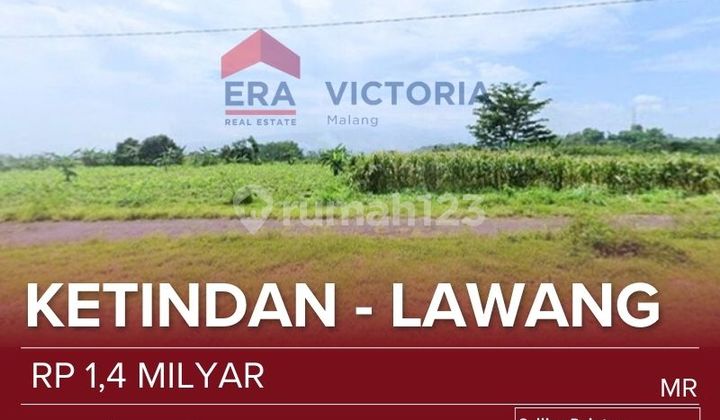 Tanah Dijual Lawang - Dekat Kebun Teh Wonosari & Pasar Lawang