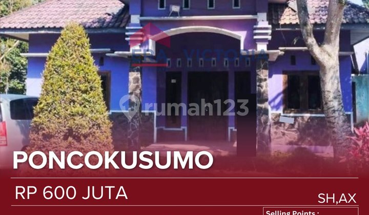 House + Chicken Coop Wide Access for 2 Cars Peaceful, Comfortable Atmosphere Near Access Route to Bromo Suitable for Farming, Residence, Other Businesses