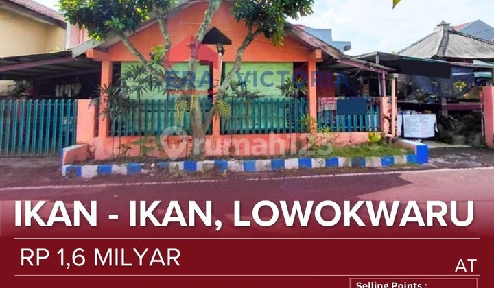 Rumah Kamar Banyak - Potensi Kos di Lowokwaru, Kota Malangkesempatan Emas untuk Hunian Besar Sekaligus Investasi Kos-Kosan! Berada di Kawasan Padat Penduduk Area Ikan-Ikan Lowokwaru, Lingkungan Hidup, Aman, dan Selalu Dicari Penyewa