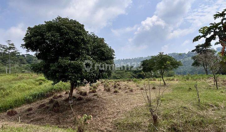 Jual Dan Investasi Tanah Kavling Bogor Timur Luas 126 M2 1