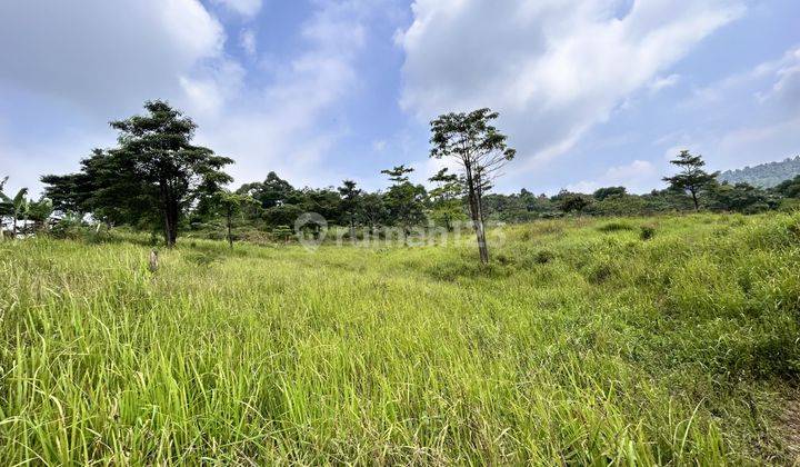 Jual Dan Investasi Tanah Kavling Bogor Timur Luas 126 M2 2