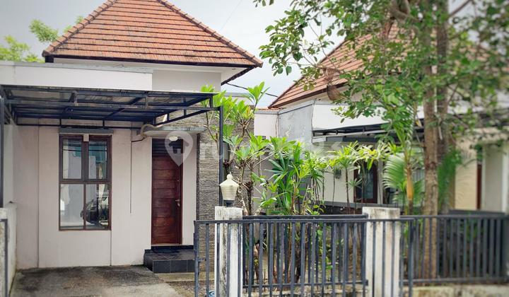 Rumah Minimalis Dekat Kantor Imigrasi Jimbaran Rumah Minimalis Dekat Kantor Imigrasi Jimbaran