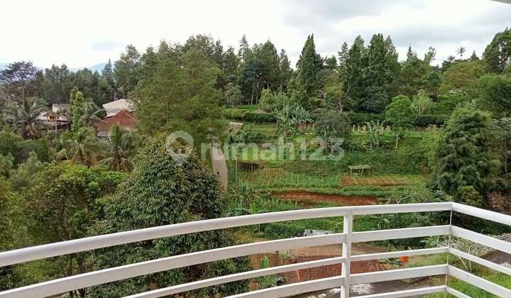 Dijual 2 Villa Dan Dapat Perkebunan Mega Mendung Bogor 2