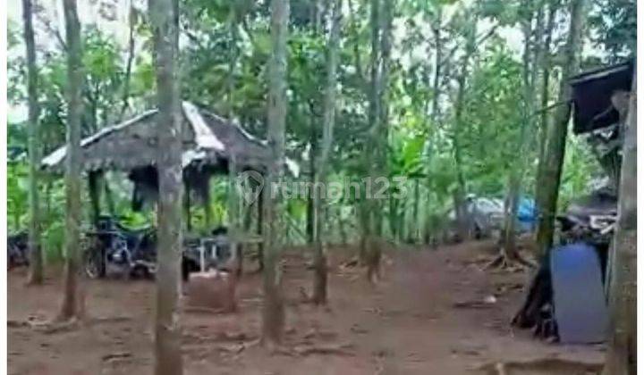 Dijual Cepat Tanah Di Lebak Banten 4