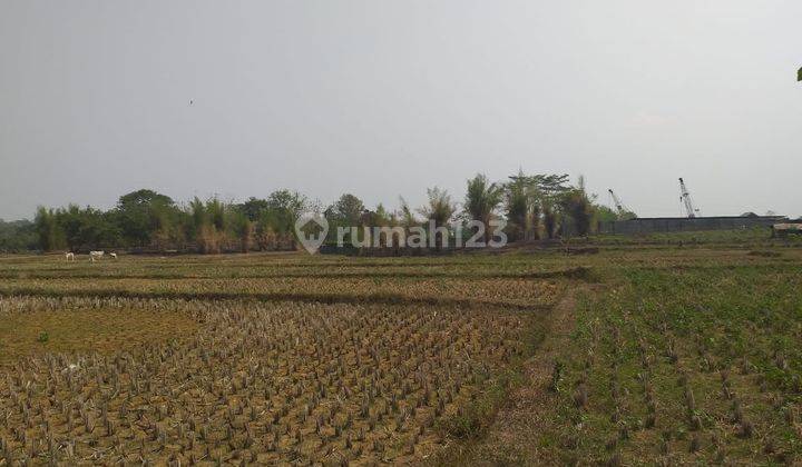 Dijual Cepat Tanah Di Transyogi Cibubur Bogor Luas 6 Ha 1