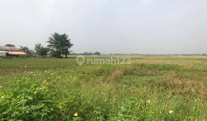 Dijual Tanah Di Kronjo Tangerang Lt 6,6 Ha, SHM 1