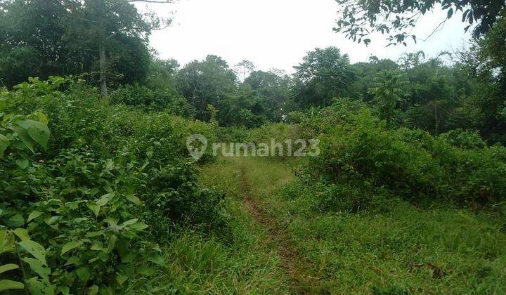 Dijual Tanah Untuk Zona Perkebunan Peternakan Jonggol Bogor SHM 1