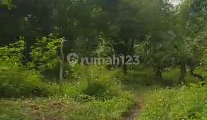 Dijual Lahan Komersil Di Balaraja Tangerang Dijual Lahan Komersil Di Balaraja Tangerang