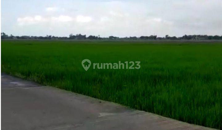 Dijual Tanah Murah Untuk Perumahan Di Cikarang Utara, Bekasi 2