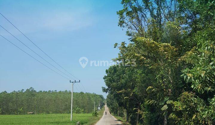 Dijual Tanah Industri Di Subang 2