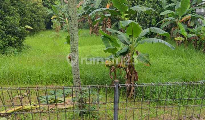 DIJUAL TANAH DI CIKEAS BOGOR DIJUAL TANAH DI CIKEAS BOGOR